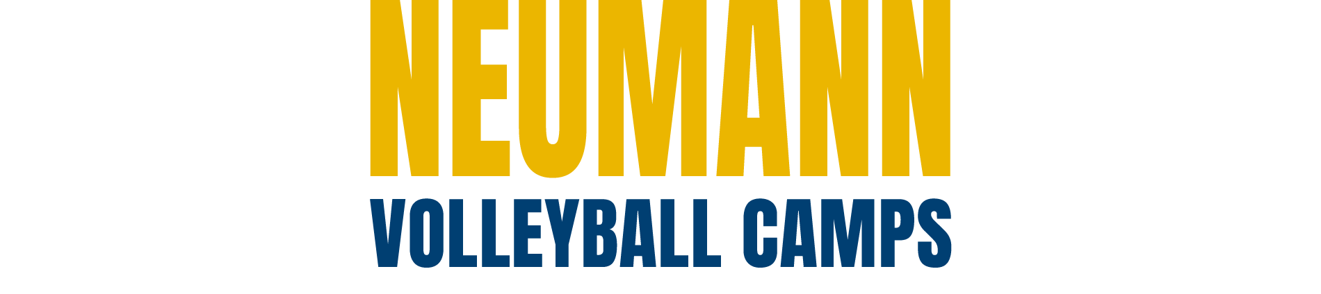 Neumann Volleyball Camps